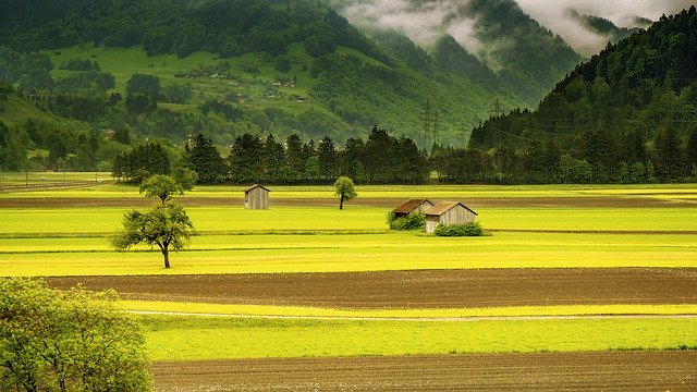 Skąd czerpać wiedzę na temat środków ochrony roślin