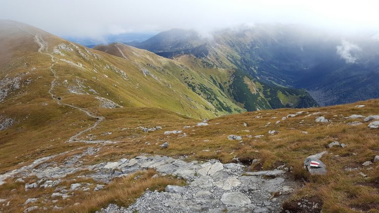 Przestronne Apartamenty z Widokiem na Tatry